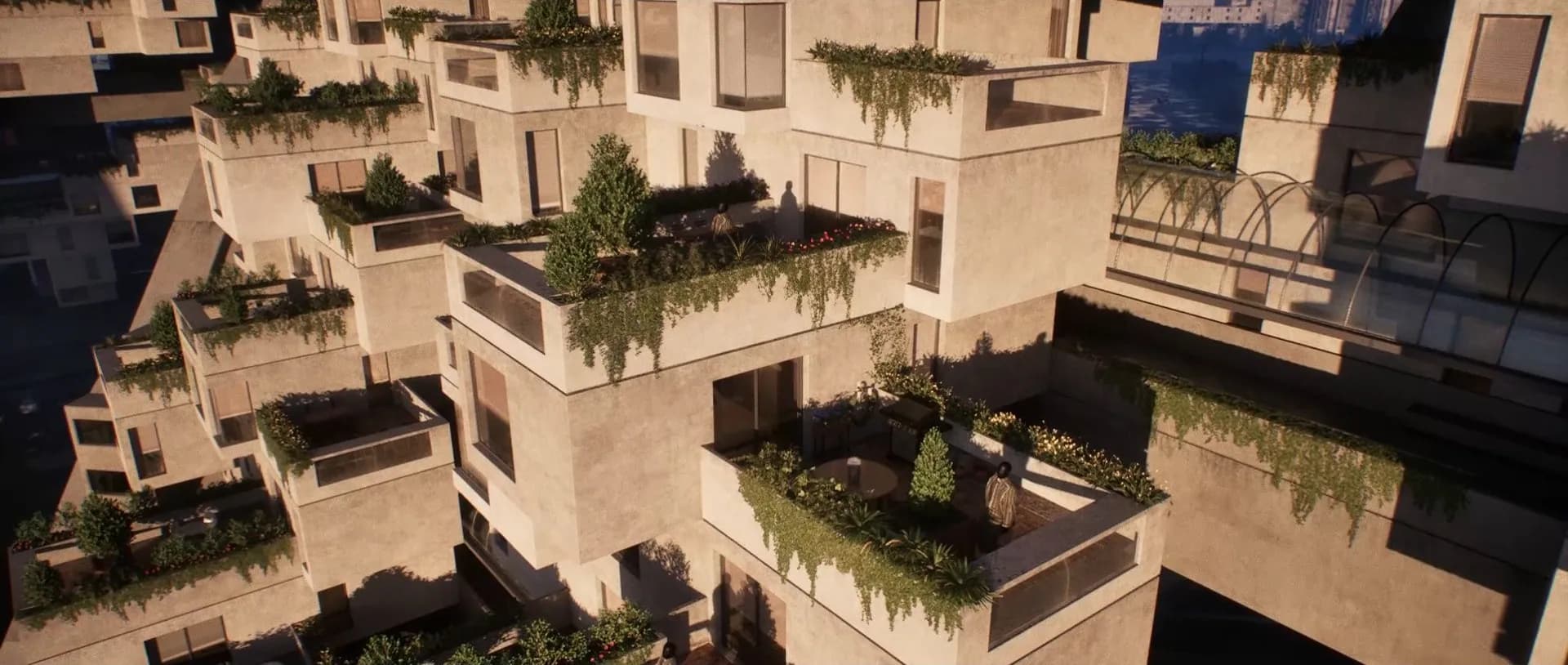 Terraced homes overgrown with plants in warm daylight, in cinemascope